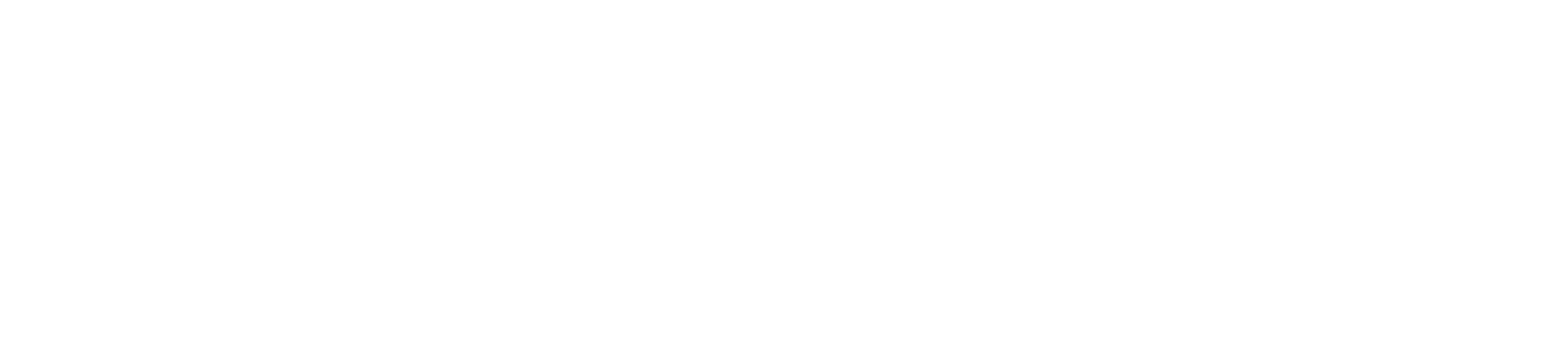 Bering Logo