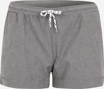 Iriedaily Pants in Grey: front