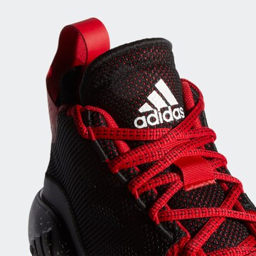 ADIDAS PERFORMANCE Sportschuh 'D Rose 773' in Rot