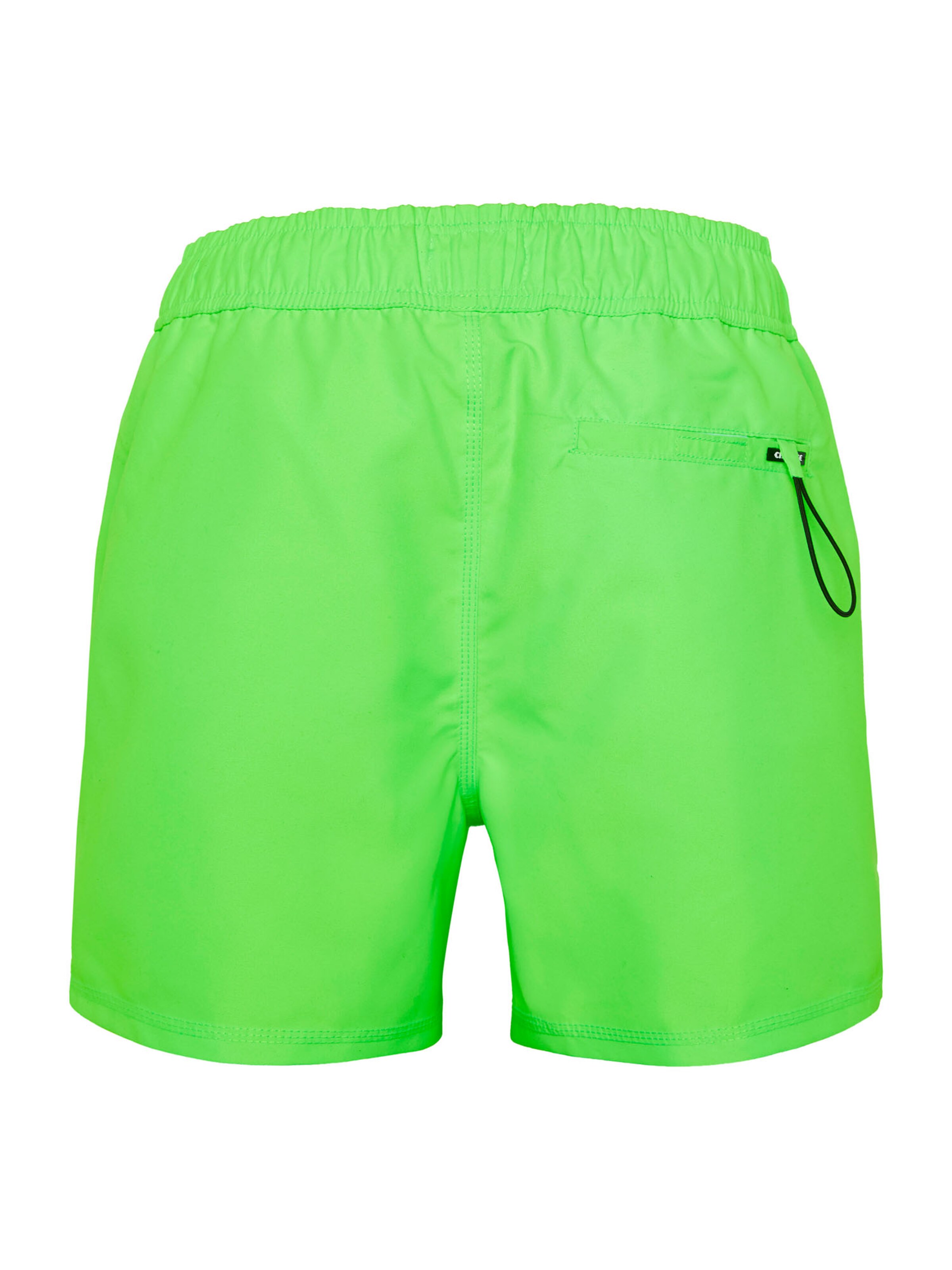 CHIEMSEE Regular Board Shorts in Green