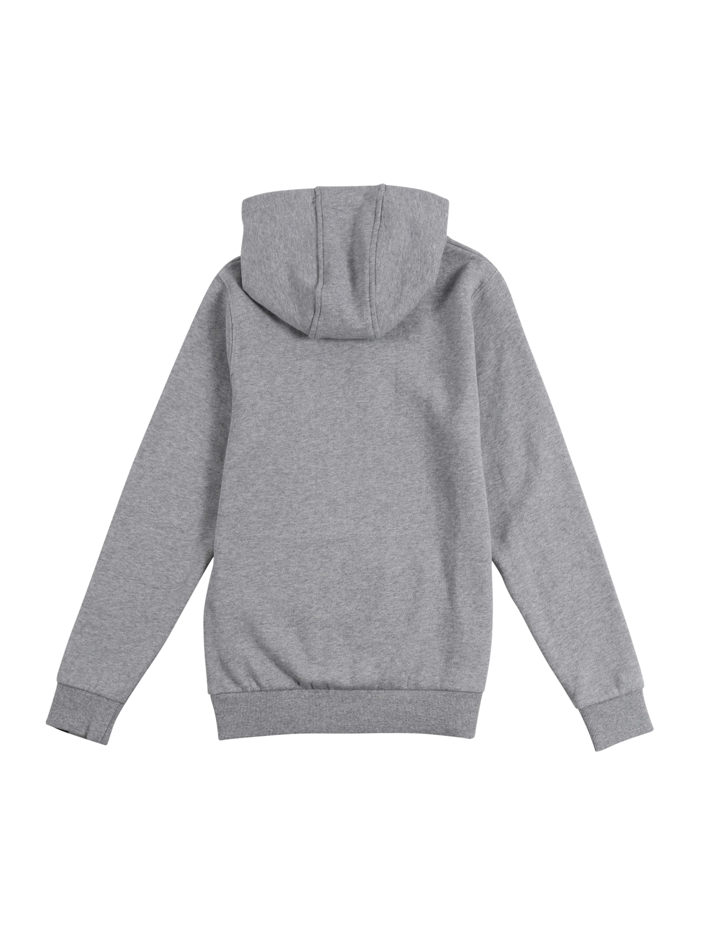 ELLESSE Regular Fit Collegepaita 'Jero' värissä harmaa