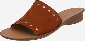 Paul Green Mules in Brown: front