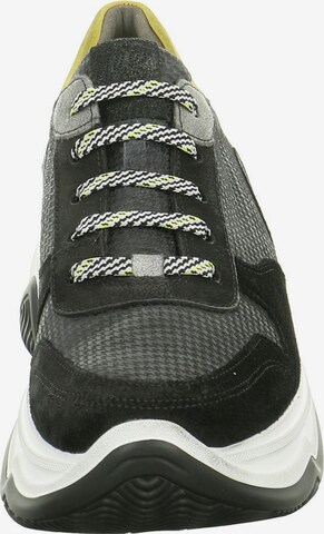 Paul Green Sneakers laag in Grijs