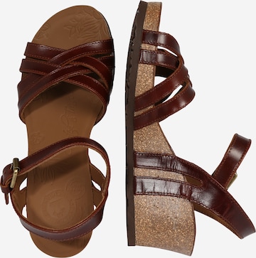 PANAMA JACK Sandalen met riem 'Vera Clay' in Bruin