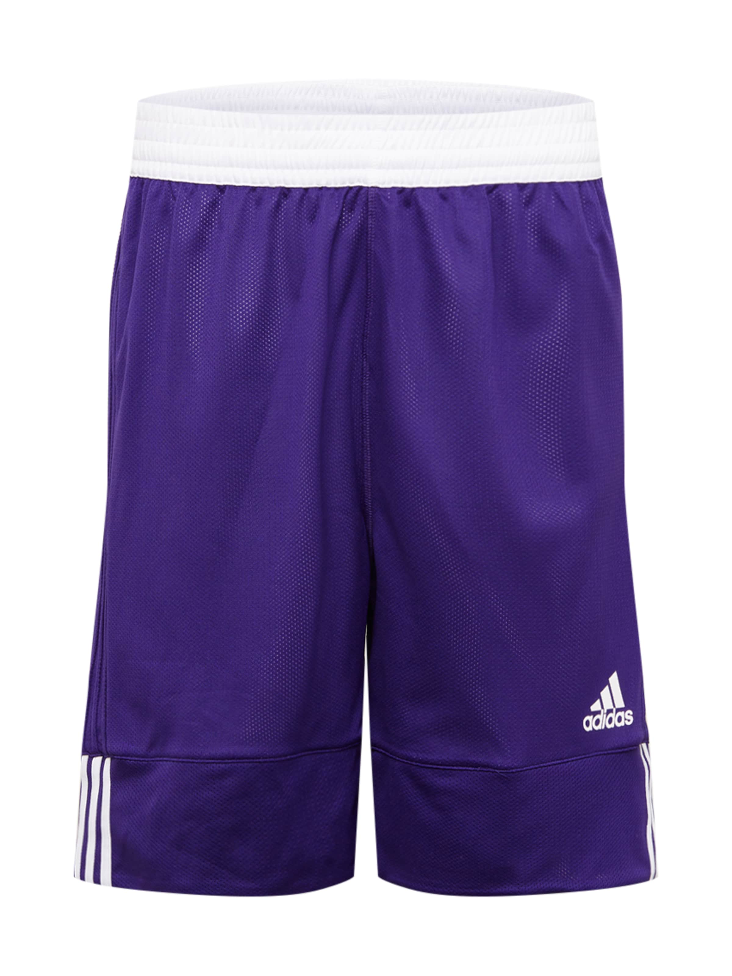 ADIDAS SPORTSWEAR - Pantalón deportivo '3G Speed' en lila: frente