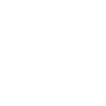FESTINA Logo