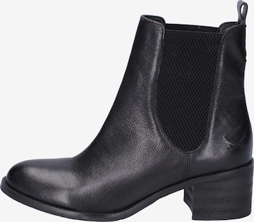 Chelsea Boots SANSIBAR en noir