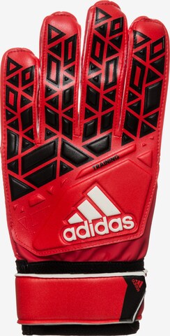 ADIDAS PERFORMANCE Torwarthandschuhe 'ACE' in Rot