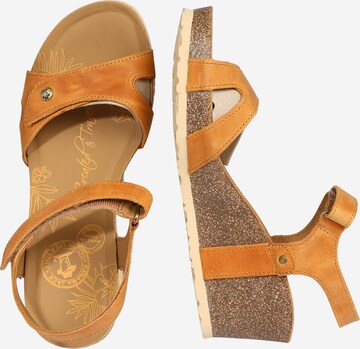 PANAMA JACK Sandal 'Julia' i orange