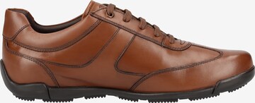 GEOX Sneakers 'Edgeware' in Brown