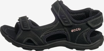 ECCO Sandale in Schwarz