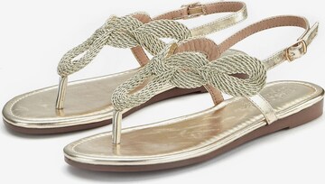 LASCANA T-bar sandals in Gold