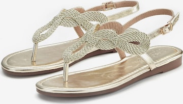 LASCANA Teenslipper in Goud