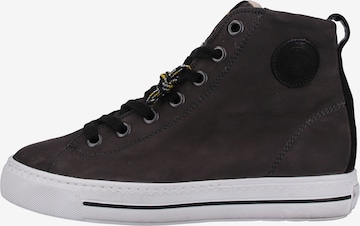 Paul Green Sneakers hoog in Grijs