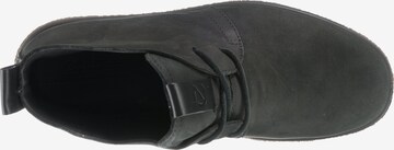 ECCO Schnürstiefelette 'Crepe Tray L' in Schwarz