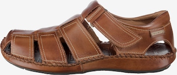 PIKOLINOS Sandals 'Tarifa' in Brown