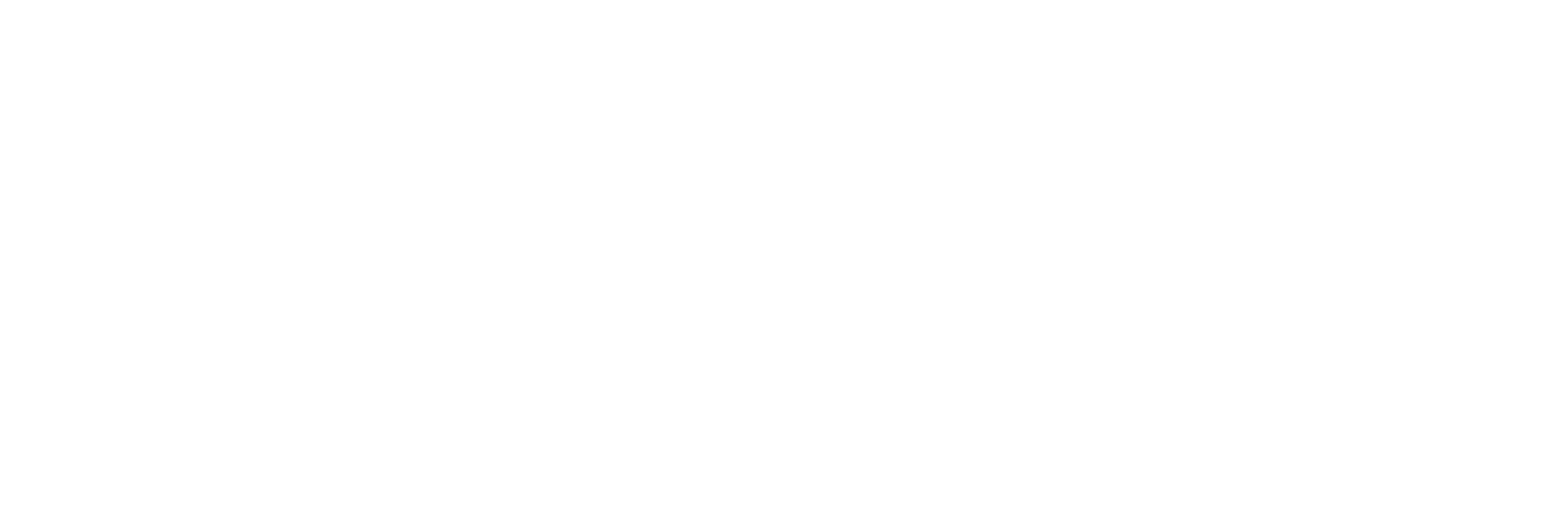 Sanetta Kidswear Logo