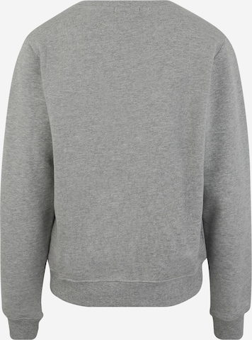 CHIEMSEE Athletic Sweatshirt in Grey: back