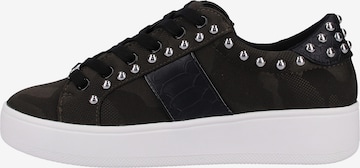 STEVE MADDEN Sneaker in Schwarz