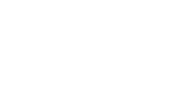 BRITISH KNIGHTS Logo