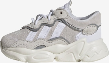 Baskets 'Ozweego' ADIDAS ORIGINALS en gris : devant