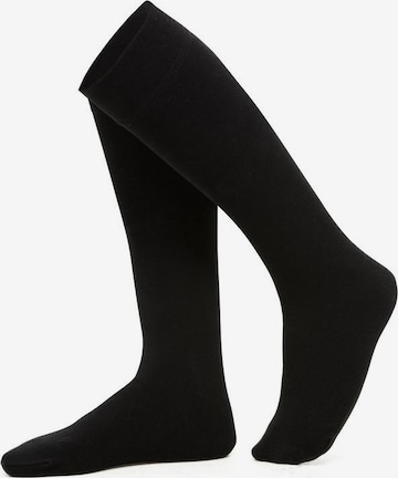 LAVANA Knee High Socks in Black: front