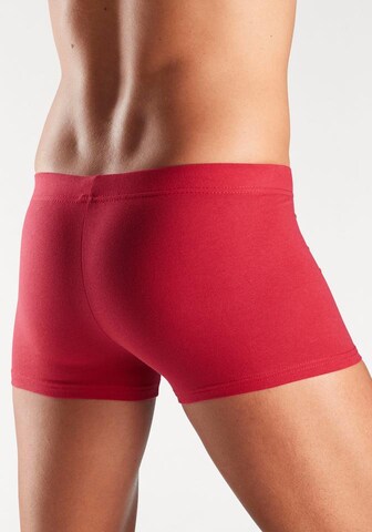 H.I.S Boxershort in Mischfarben