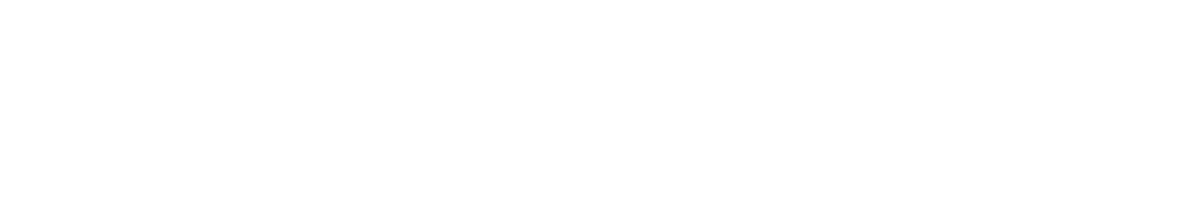 Elvine Logo