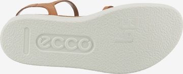 ECCO Sandalen met riem in Bruin