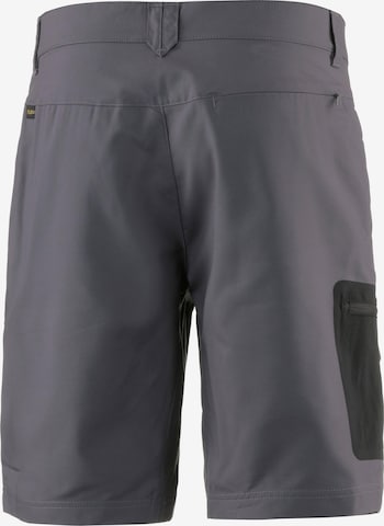 JACK WOLFSKIN Regular Outdoor Pants 'Active Track' in Grey