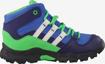 ADIDAS PERFORMANCE Outdoorschuh 'Terrex Mid GTX' in Blau