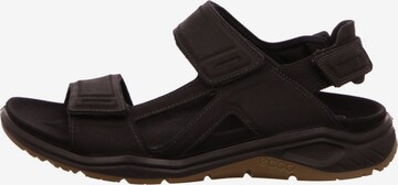 ECCO Wandelsandalen in Bruin