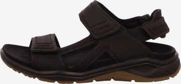 ECCO Hiking Sandals in Brown