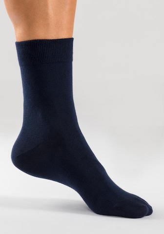 H.I.S Socks in Blue