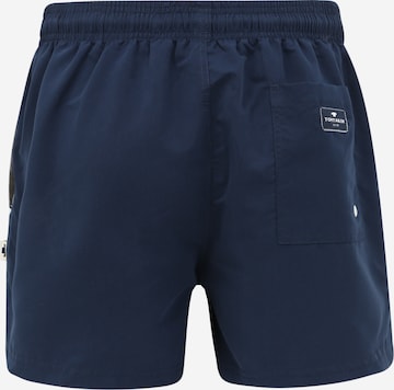 TOM TAILOR Regular Zwemshorts 'Jo' in Blauw