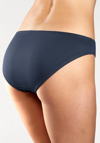 VIVANCE Panty in Mixed colors