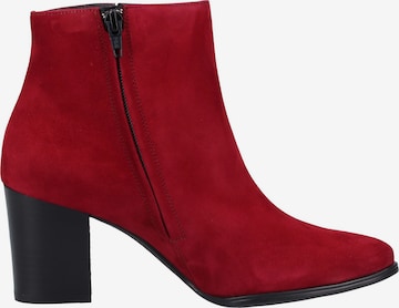 Paul Green Ankle Boots in Red