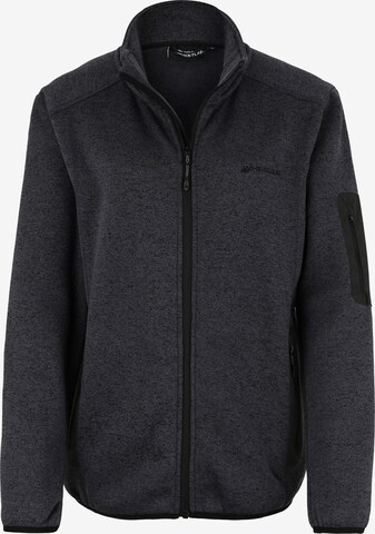 Whistler Funktionsfleecejacke 'Abel' in Grau: predná strana