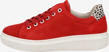 BULLBOXER Sneaker in Rot