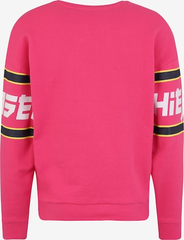 CHIEMSEE Αθλητική μπλούζα φούτερ σε ροζ: πίσω