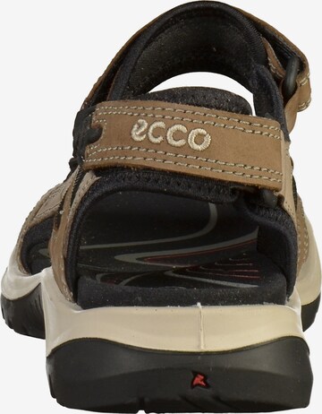 ECCO Wandelsandalen 'Offroad' in Bruin