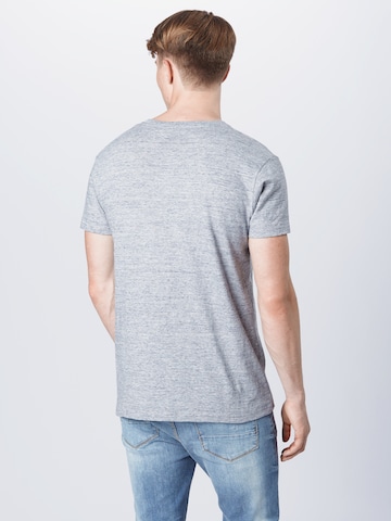 Iriedaily T-Shirt 'Chamisso' in Grau