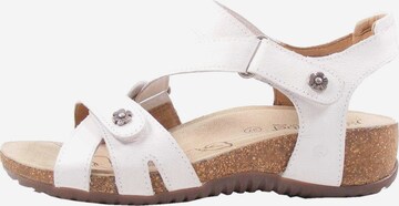 JOSEF SEIBEL Strap Sandals in White: front