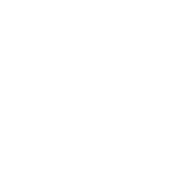 Skirt & Stiletto Logo