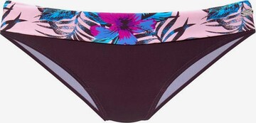 VENICE BEACH Bikini-Hose 'Marly' in Lila: predná strana