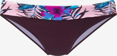 VENICE BEACH Bikiniunderdel 'Marly' i aubergine, Produktvy