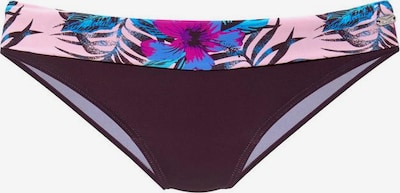 VENICE BEACH Bikini apakšdaļa 'Marly', krāsa - baklažāna, Preces skats