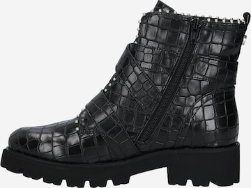 STEVE MADDEN Boots 'Hoofy' in Black