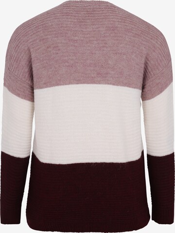 ABOUT YOU Curvy Sweater 'Larissa' in Mixed colours: back