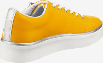 ambellis Sneakers in Yellow